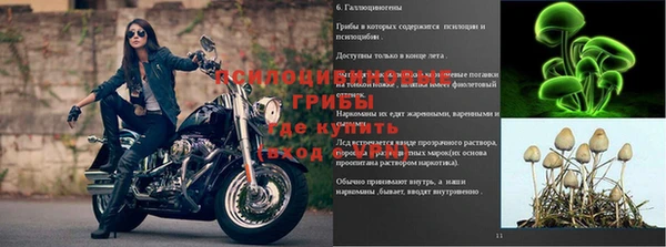 бошки Алексин